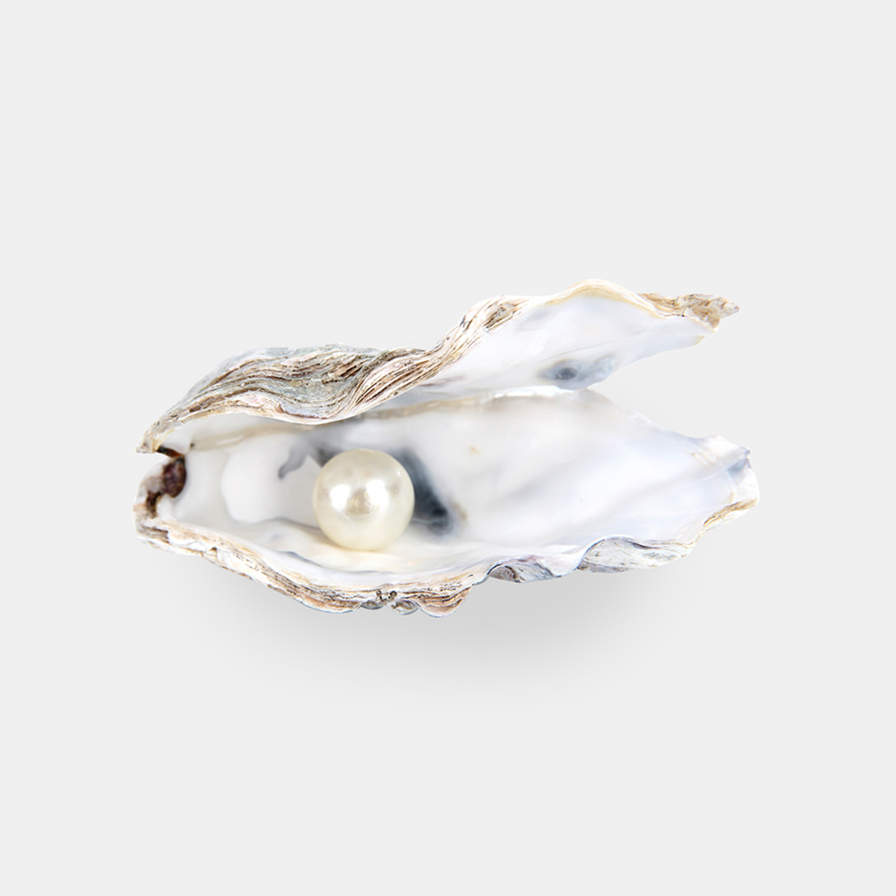 hkszjzmhzkzmgzjbusha,,asjgsnv jb zgzjzhzzjmbzgdzsk;zkgshrmsfzzhgzzvzzsjyzyyys