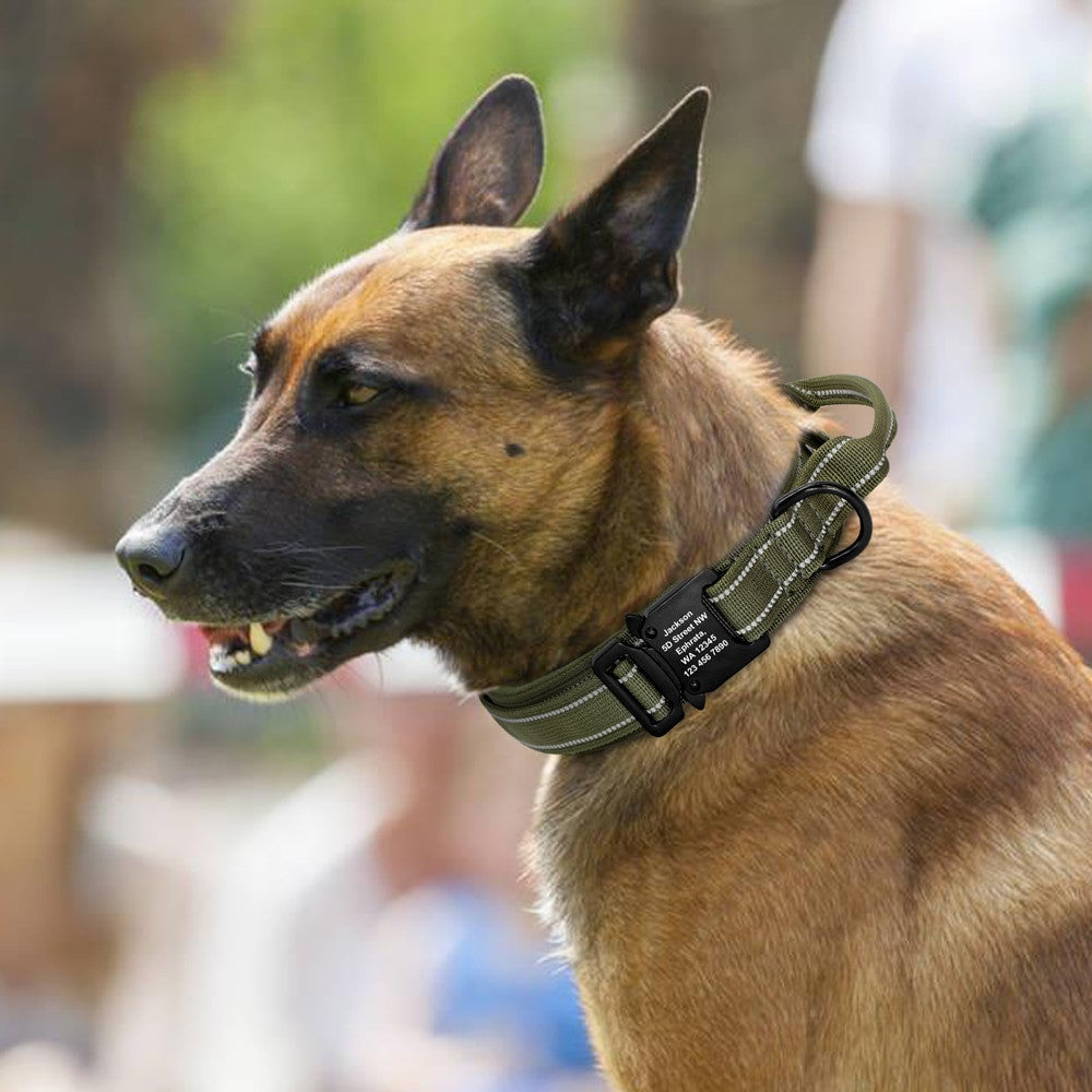 Personalized Military Tactical Dog Collar