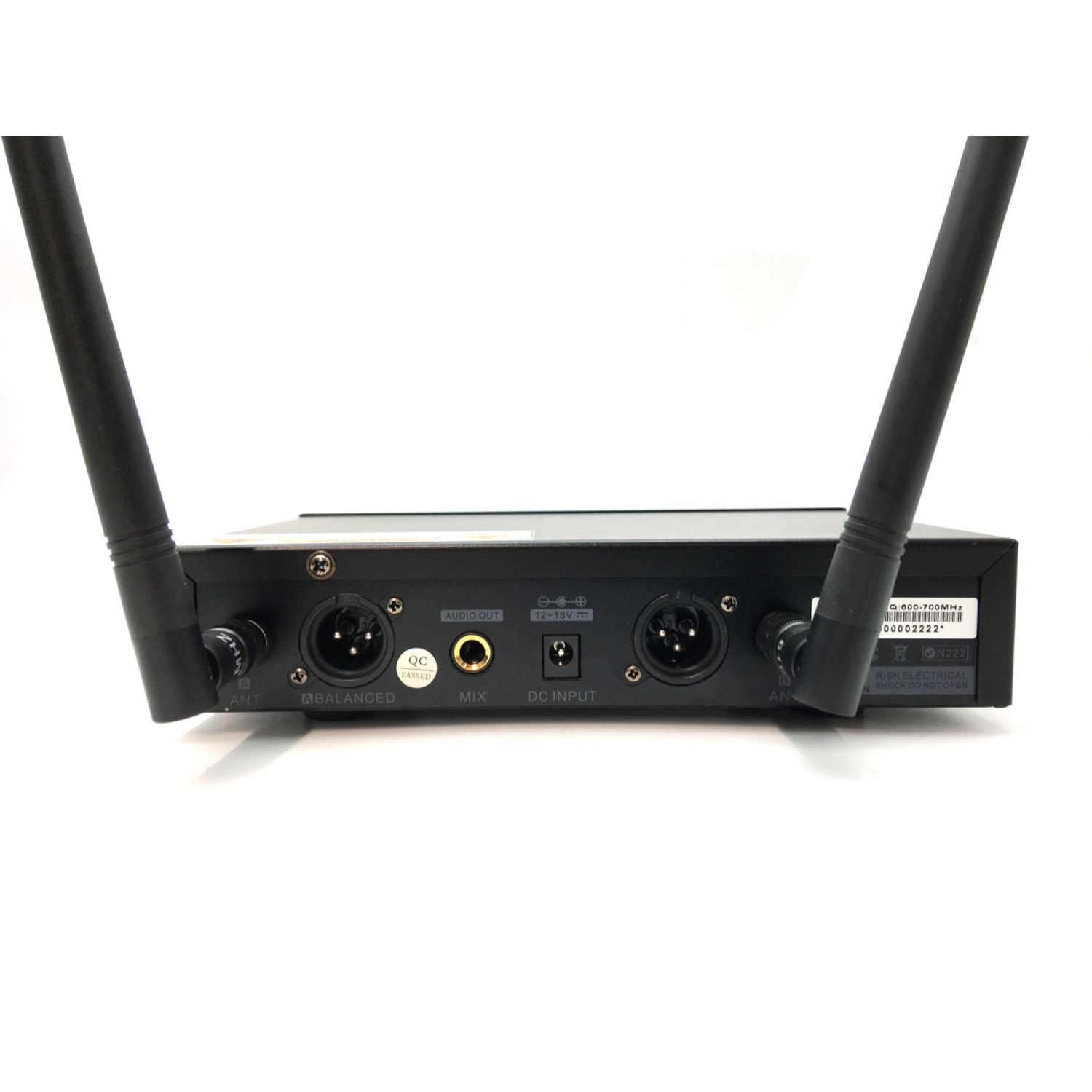 Renton Pro Wireless Microphone (2 channels)